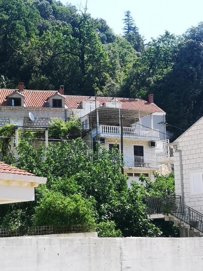 Apartment House Of Artichoke With Amazing Sea View, Dubrovnik Мокошица Экстерьер фото