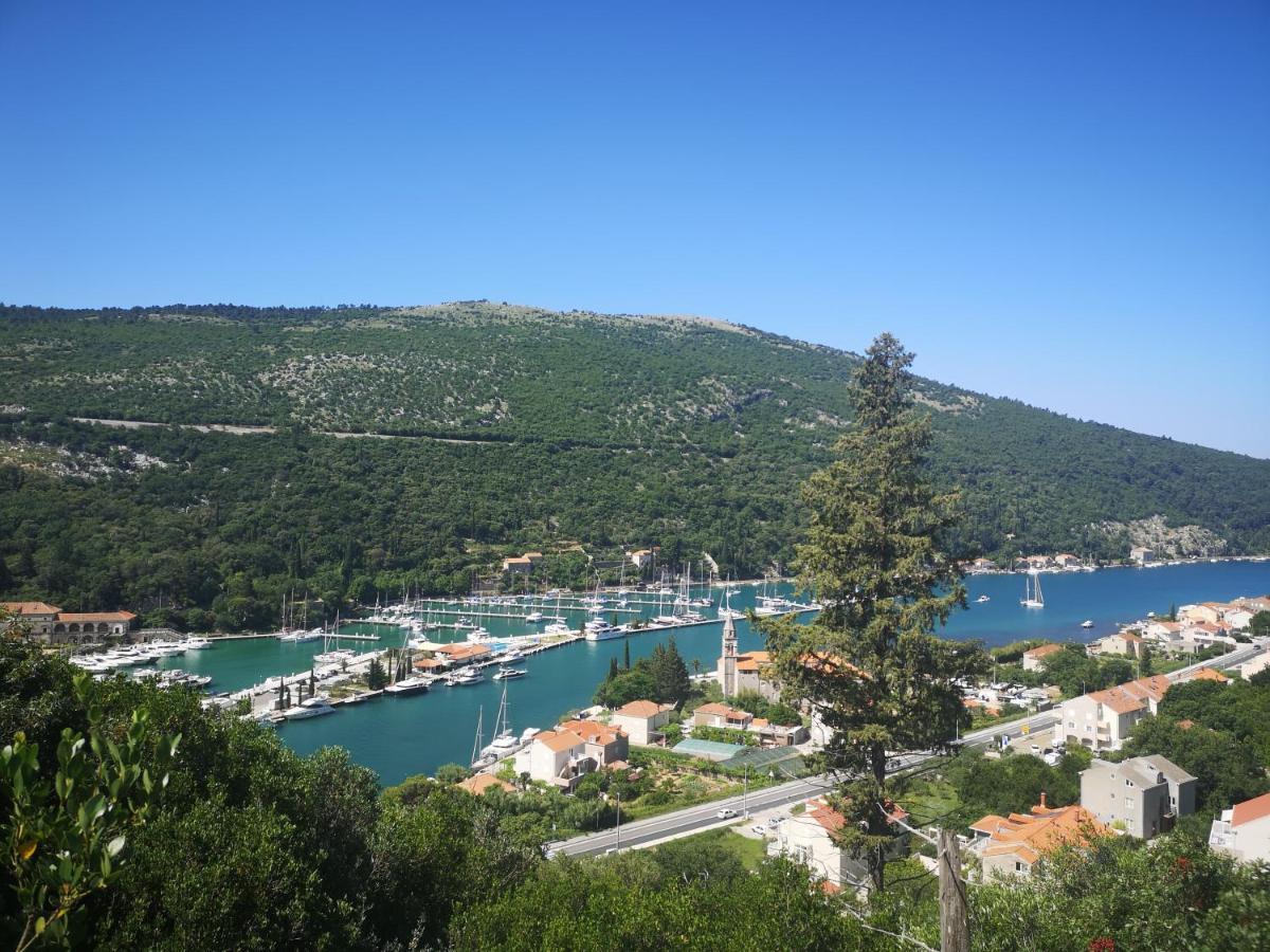 Apartment House Of Artichoke With Amazing Sea View, Dubrovnik Мокошица Экстерьер фото